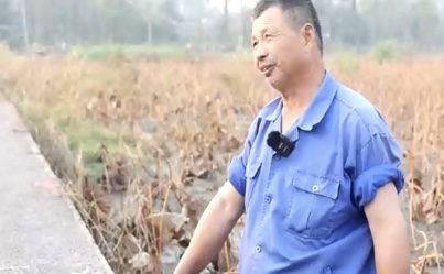 藕粉非遺社會(huì)實(shí)踐